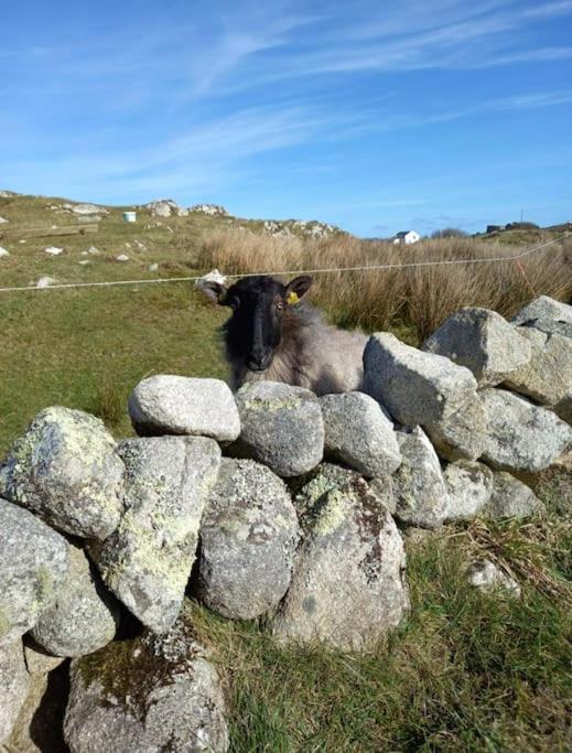 Radharc An Chuain 2 Bedroom Holiday Home Galway Esterno foto